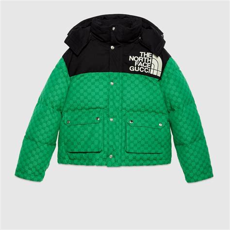 tnf gucci jacket.